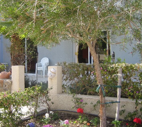 View of the terrace through the garden at Iris Cottages